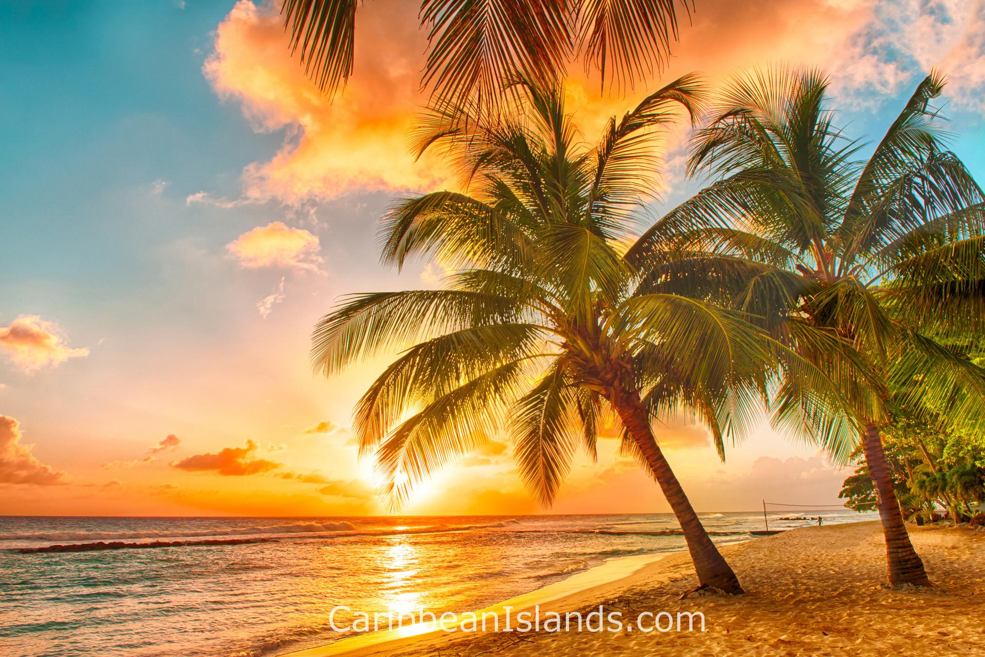 Caribbean