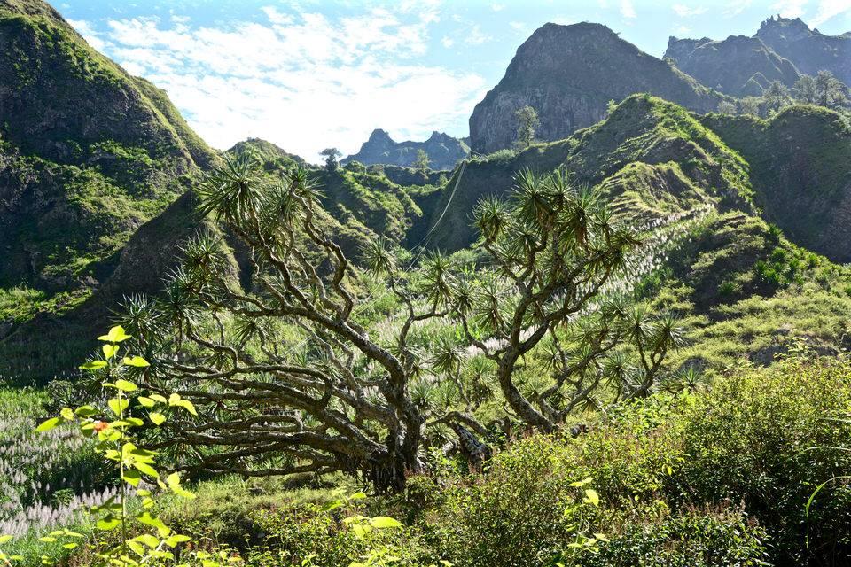 Santo Antão